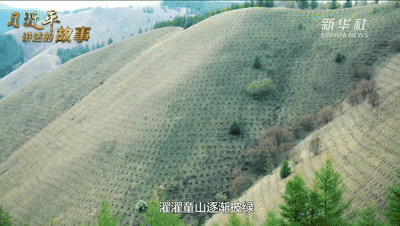1210664466_15923551151391n.gif